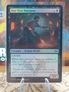 MTG - Kin-Tree Nurturer (Foil) - Tarkir Dragonstorm NM/M Condition - Picture 1 of 1