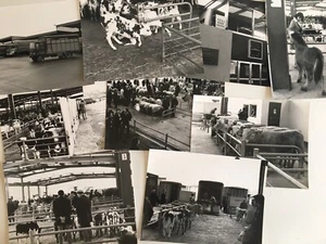 lot photo argentique 24x17 marché la halles aux veaux à Château-Gontier c.1970 - Imagen 1 de 2