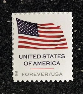 2025USA #6016 Forever U.S. Flag - Single From Sheet Mint (APU) - Picture 1 of 1