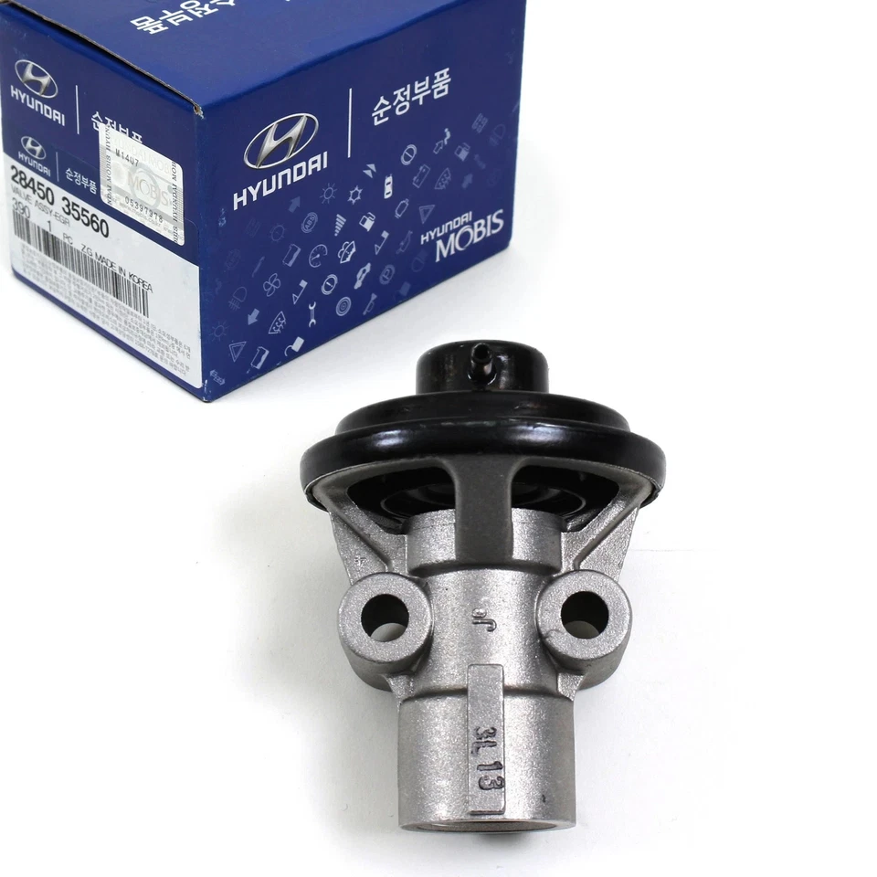 GENUINO 2845035560 EGR Conjunto de válvulas para Hyundai XG300 XG350 Santa Fe y KIA Amanti Foto 1 de 1