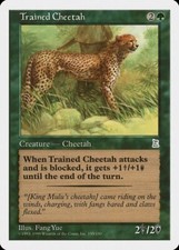 Trained Cheetah Portal Three Kingdoms PLD Green Uncommon MAGIC CARD ABUGames