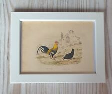 1852 Lithograph Art Print Wood Engraving Bird Rooster Engraving Antique Mount