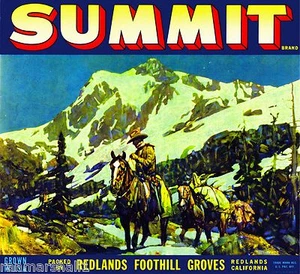 Redlands San Bernardino Summit Orange Citrus Fruit Crate Label Print - Picture 1 of 1