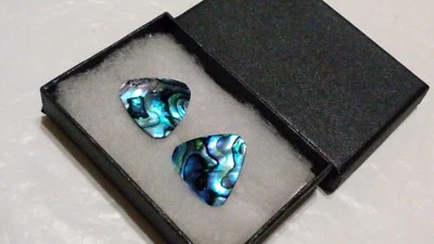 PAUA Abalone Shell Silver-tone CLIP-ON Earrings in Gift Box*****  - Image 1 of 4