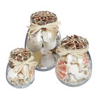 Muschel Deko Glas 3er Set Sea Shells Muschel-Mix Meeres Dekoration Stranddeko