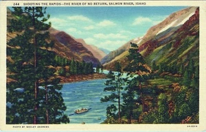 River of No Return Salmon River Idaho Postcard By Wesley Andrews Unposted - Picture 1 of 2