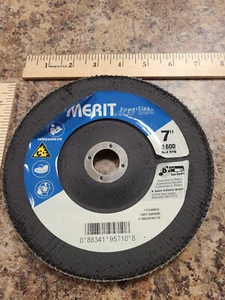 Sanding Disc for Masonry, Ceramics&Composites Angled Flap 7" Dia, 600 Grit - Picture 1 of 3