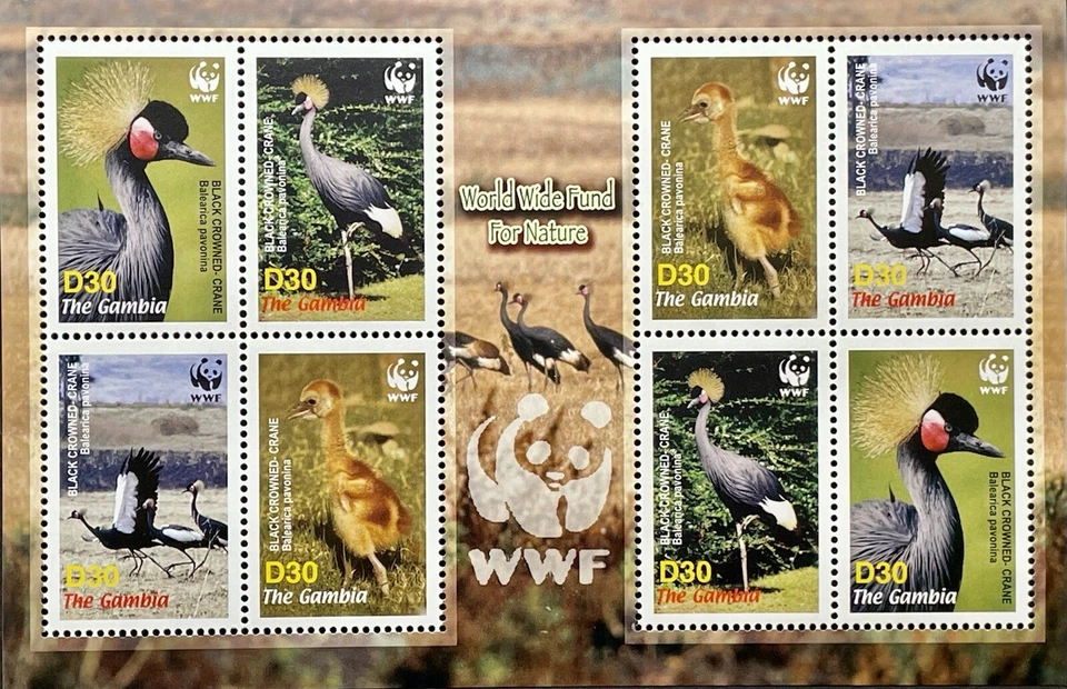 FOLHA DE SELOS DE PÁSSAROS GÂMBIA WWF 2006 MNH PRETO COROADO GUINDASTE PÁSSARO FAUNA SELVAGEM 1 - Imagem 1 de 1
