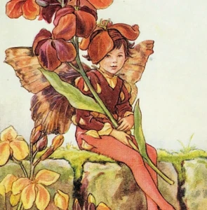 Wallflower fairy by Cicely Mary Barker Original Flower Fairies Print 1936 - Imagen 1 de 2