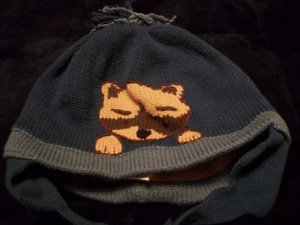 Gymboree hat Fair Isle ear flap raccoon husky dog frog puppy first pet 3 6 12 18 - Picture 1 of 21