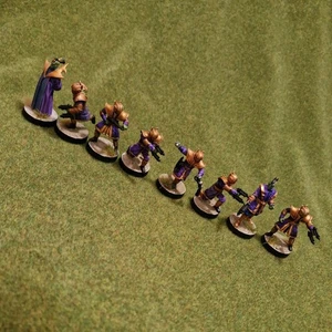 Star Wars Legion Black Sun Shadow Collective gut bemalt - Bild 1 von 5