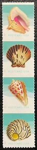 2017 Scott #5163-66 - Postcard Rate - SEA SHELLS - Vertical Strip of 4 - Picture 1 of 1