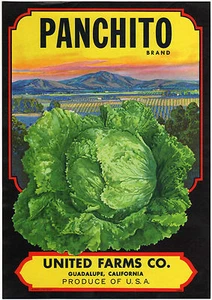 *Original* PANCHITO Guadalupe Calif Vegetable LETTUCE Crate Label NOT A COPY! - Picture 1 of 1