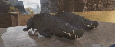 Ark Survival Ascended pve (NEW) 1437 MELEE BLACK DEINOSUCHUS PAIR XBOX/PC/PS5