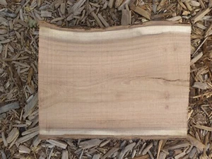 Mesquite Half Log (12" long x 9-1/2" wide x 4-1/2" thick) #60 - Picture 1 of 4