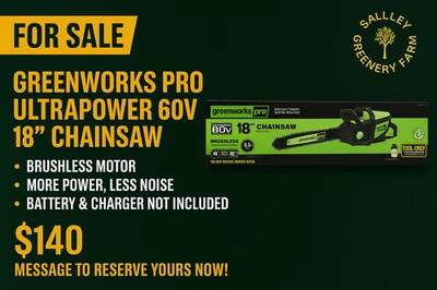 NEW! GreenWorks Pro 60V 18" Cordless Battery 2.0kW Chainsaw CS60L03 -Tool Only