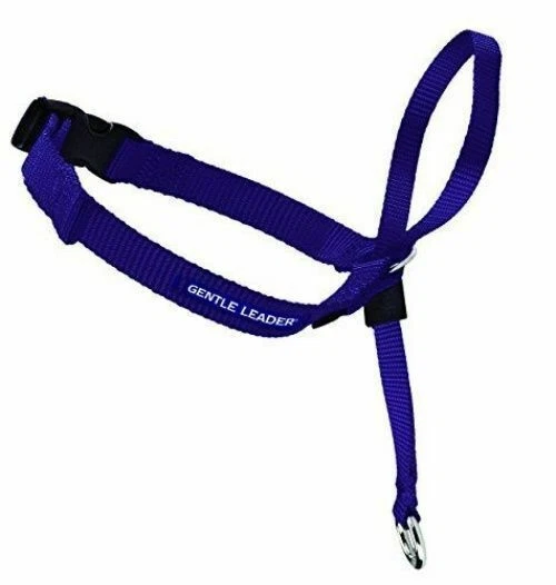 PetSafe Gentle Leader Head Collar Large Deep Purple for Dogs 60 - 130 Lbs