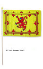 12x18 12"x18" Scotland Lion Country Stick Flag 30" wood staff