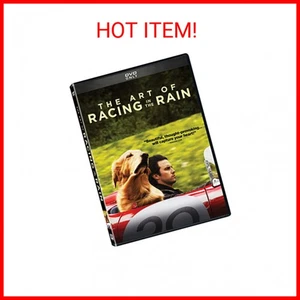 The Art of Racing in the Rain (DVD) - Picture 1 of 2