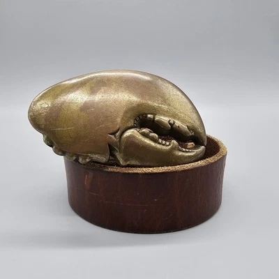 Cinturón Crewcuts by J Crew para niño talla M hebilla de garra de langosta cuero marrón latón Foto 1 de 4