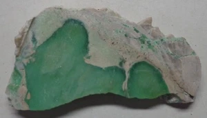 WRG- Lucin Variscite Slab 29 grams Lapidary Utah Edison Bird Mine - Picture 1 of 4