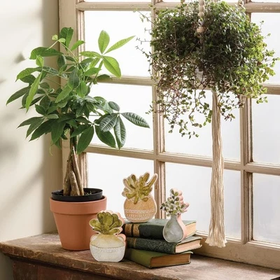 3 Piece Primitives by Kathy Chunky Sitter Set Succullents Wood Handpainted - Image 1 of 4