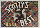 1940's SCOTTY'S BEST WASHINGTON STATE PEARS CRATE LABEL TERRIER DOG ART!