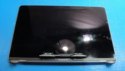 MacBook Pro A2159 2019 MUHN2LL/A MUHP2LL/A 13"LCD Screen Assembly Gray 661-12829 - Image 1 of 3