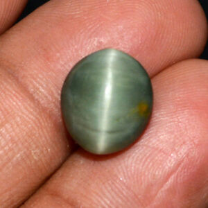 6.77 Ct Natural Apatite Cats Eye Beautiful Ring Size Oval Cab Untreated Gemstone