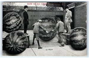 Cartolina - RPPC ESAGERATO COME FACCIAMO LE COSE CITRON JOHNSON - Foto 1 di 2