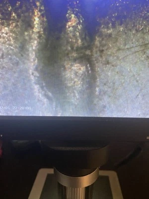 1962d Bugs Bunny Buck Tooth 50c Benjamin Franklin With Die Clash Error - Image 1 of 4