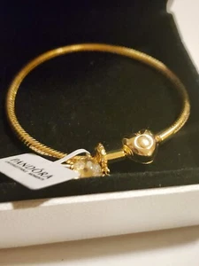 Pandora Golden Heart Snowflake Snow Globe Charm Bracelet Set 14k Gold Plated  - Picture 1 of 18