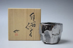 Taza de sake Guinomi esmaltada plateada Takahiro Ishii con caja de madera rara - Imagen 1 de 23