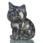 2,95 pouces Llanlite naturelle sculptée chat belle sculpture animale BE82