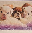 Puppies On Blanket Blank Note Cards 8 Cards & Envelopes Puppy Dog Bulldogs