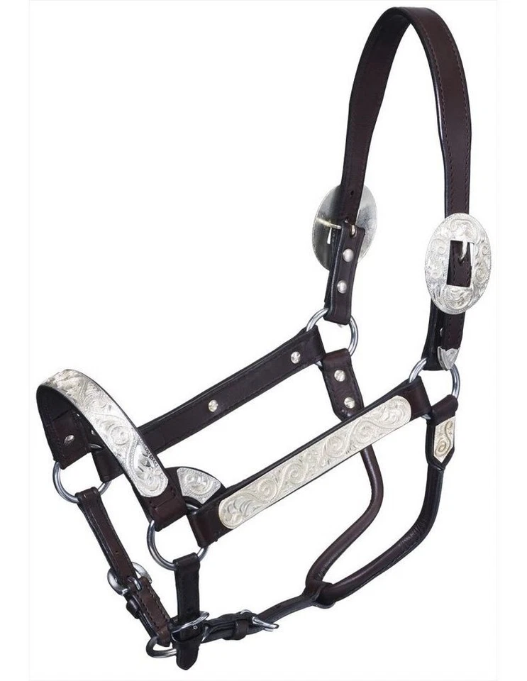 Resistente 1 Halter Borde de Cuero con Pergamino Plateado Show Plateado 15-980H Foto 1 de 1