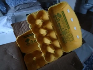 16 EMPTY CARDBOARD EGG BOXES, EACH CONTAIN 10 EGGS. - Picture 1 of 1