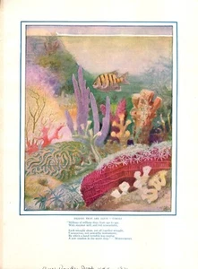 Illustrazione Isole che sono vive - Coralli 1921 - Foto 1 di 1