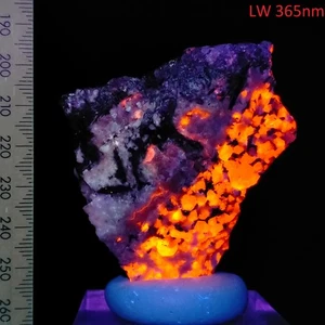 Sodalite fluorescent bright long wave specimen Mont Saint-Hilaire Canada 416ct - Bild 1 von 10