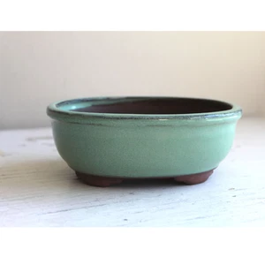 Terracotta Pottery Succulent Plant Green Low Oval Planter Bowl Drainage Hole - Picture 1 of 5