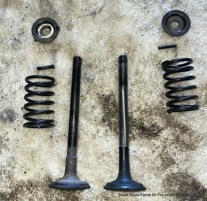 JUEGO DE VÁLVULAS DE ADMISIÓN/ESCAPE BRIGGS & STRATTON FABRICANTE DE EQUIPOS ORIGINALES 6 HP con resortes, etc. - Imagen 1 de 7