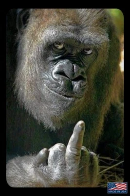 WORLDS GREATEST SIGNS! FUNNY METAL SIGN 8"X12" MAN CAVE BAR GARAGE OFFICE DECOR - Image 1 of 3