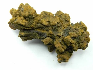 Coprolito de un fósil de tortuga gigante antiguo Madagascar 122,09 gramos - Imagen 1 de 5