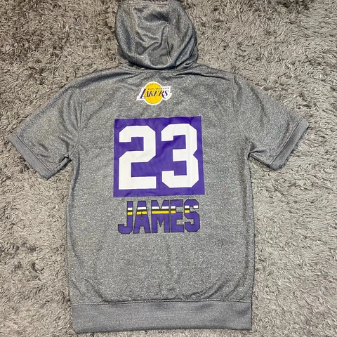NBA Los Angeles Lakers Lebron James #23 Hoodie Mens Small Gray Gold S/S Pullover Cover