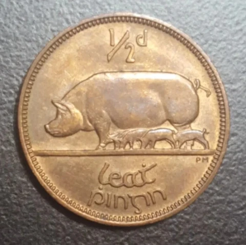 1965 IRELAND 1/2 PENNY KM 10 SOW & PIGLETS VINTAGE OLD IRISH COPPER XF+ COIN Cover