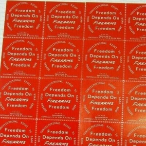 US Guns Cinderella Freedom Depends on Firearms NH Fish Game Poster Stamps Sheet - Picture 1 of 5