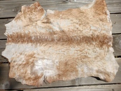 sheepskin leather Thin hide Karakul Mottled White/Bronze silky hair smooth back - Image 1 of 4