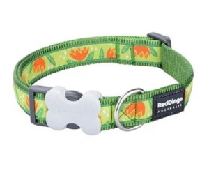 RED DINGO TROPICAL GREEN COLLAR & LEADS - Picture 1 of 6