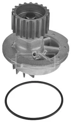 Engine Cooling Water Pump Fits Chevrolet Aveo / Kalos Daewoo BORG & BECK BWP1747 - Image 1 of 4