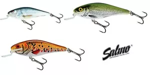 SALMO Locken Executor Shallow 5/7 CM 5/8 Gr Künstlich Fischen Forelle Bass - Bild 1 von 6